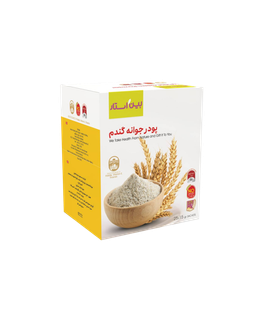 پودر جوانه گندم بین استار بسته ۲۵ عددی هر ساشه ۱۵ گرم